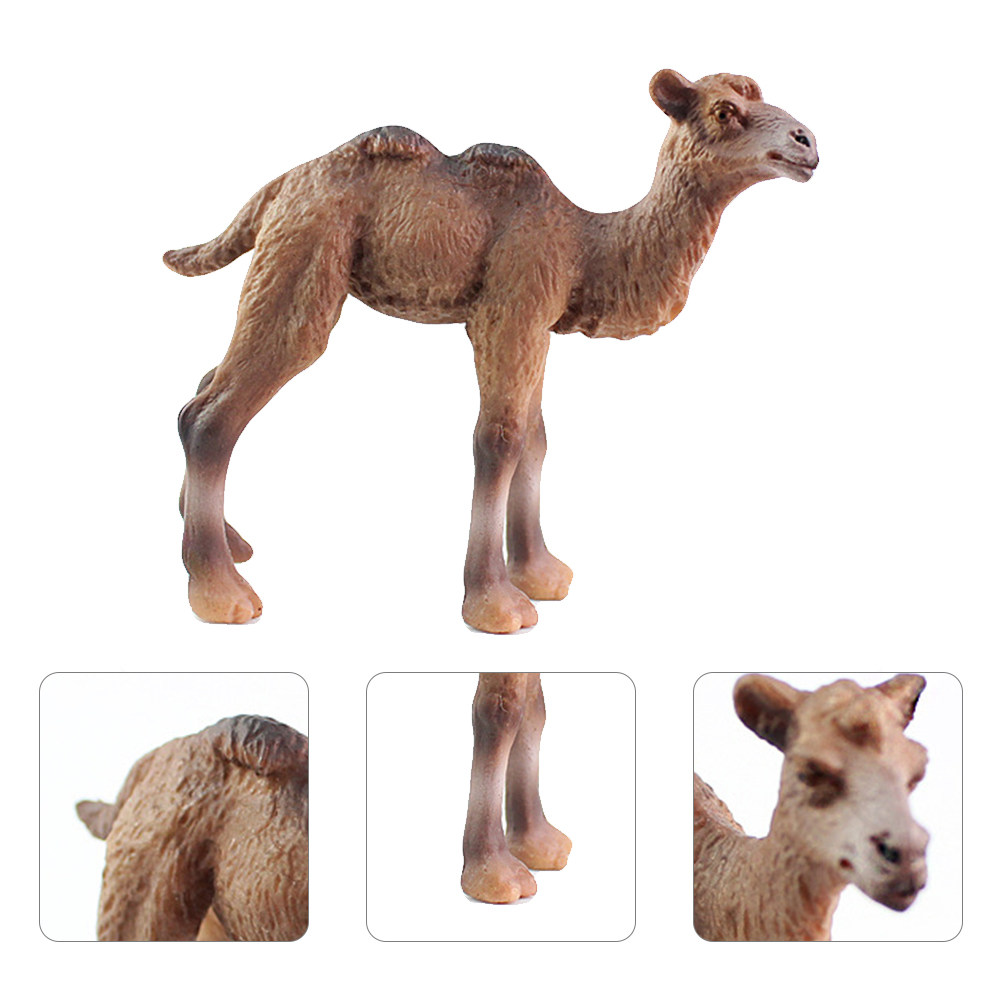 Ręcznie Robiona Rzeźba Wielbłą – Kids Education Design recenzja i cena